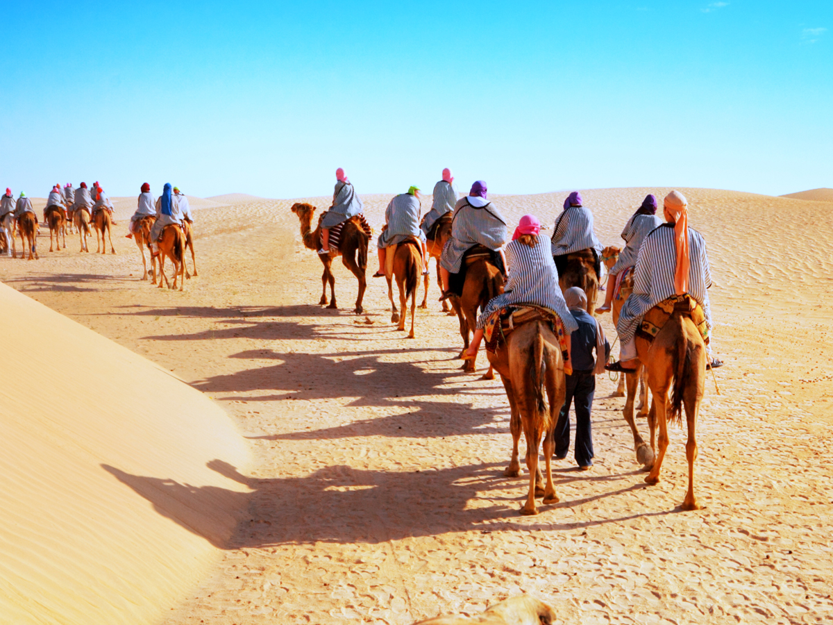 PARADISE OF DESERTS RAJASTHAN PICNIC PACKAGE TOUR 2024